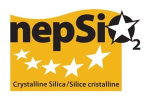 Nepsi Logo